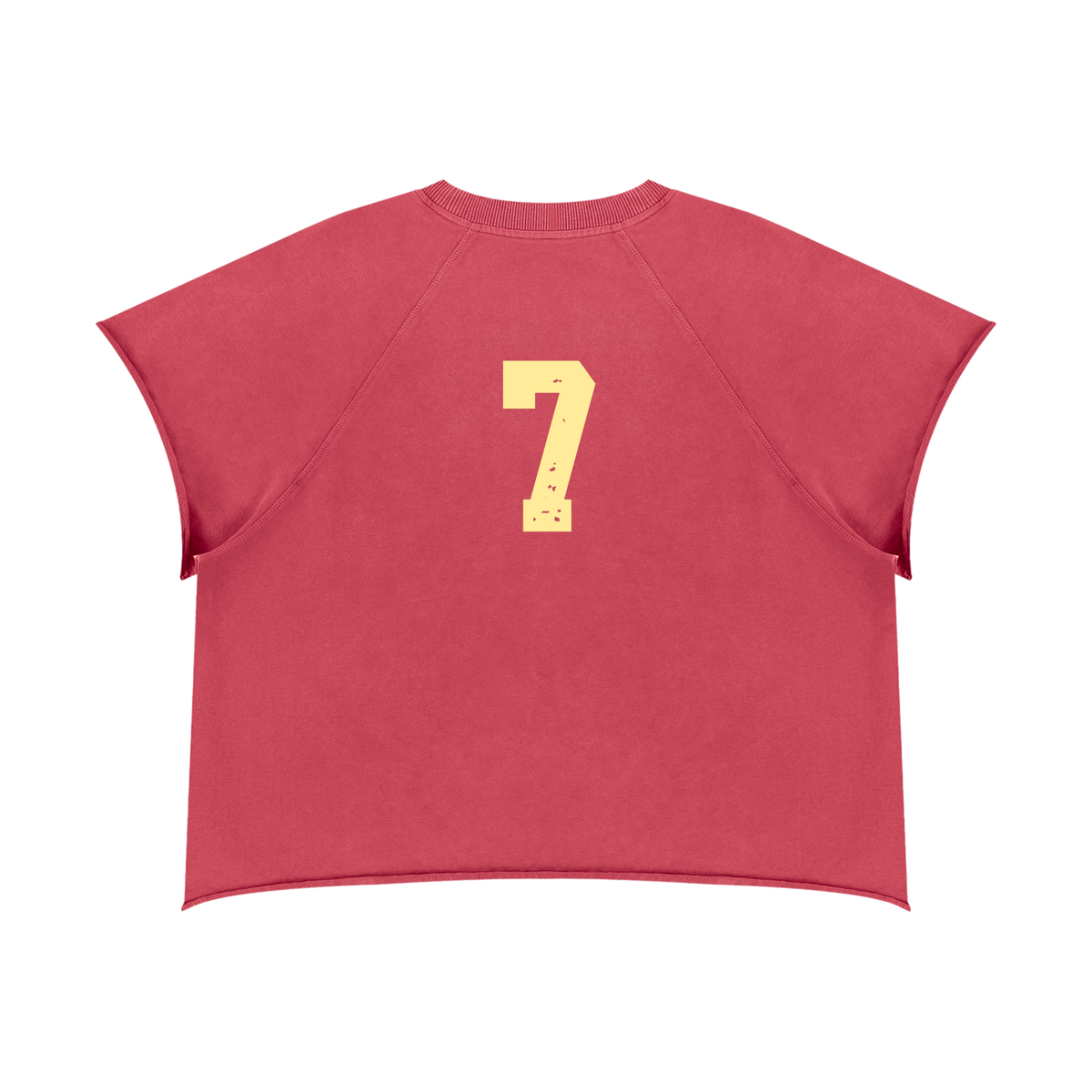 PL Athletic Club Unisex Vintage Wash Raw Edge T-Shirt