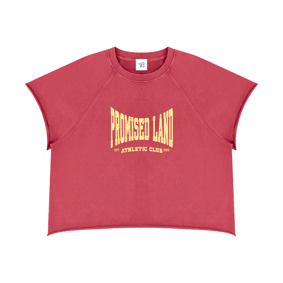 PL Athletic Club Unisex Vintage Wash Raw Edge T-Shirt